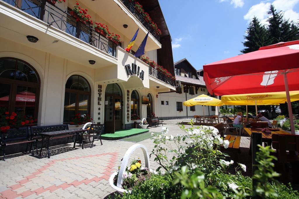 Hotel Ruia Poiana Brasov Exterior photo